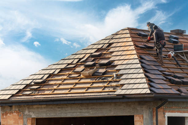 Best Skylight Installation and Repair  in Mount Juliet, TN